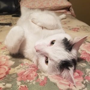 Meet your Posher, Alejandra